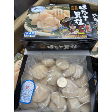 正宗北海道黑武士帶子(3S)