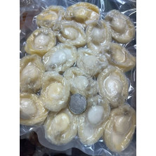 急凍吉品（熟）鮑魚