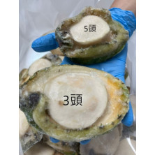 正宗南澳洲青邊鮑魚 (5頭) <<節日限定，請查詢貨量>>