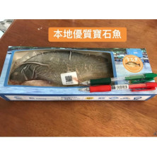 本地速凍優質寶石魚