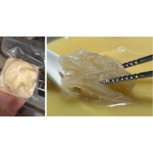 松茸濃湯鮑翅 (足二両翅)