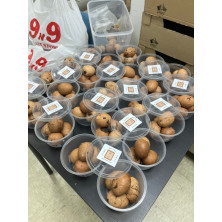 益智養生桑寄生蛋 (混合雞蛋) (香港製造) <歡迎預訂>